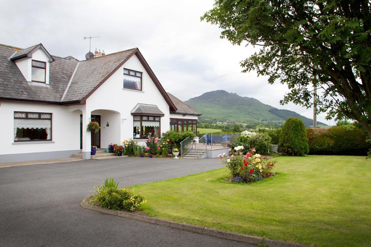 Mourneview B & B Карлінгфорд Екстер'єр фото