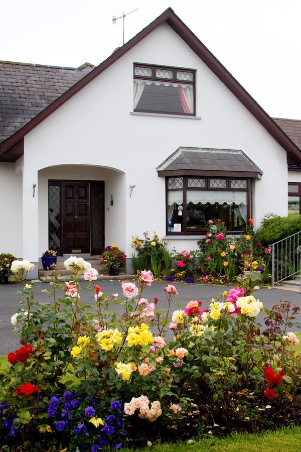 Mourneview B & B Карлінгфорд Екстер'єр фото