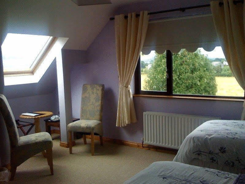 Mourneview B & B Карлінгфорд Екстер'єр фото